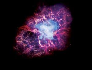 New Scientist. Science news and long reads from expert journalists, covering developments in science, technology, health and the environment on the website and the magazine.