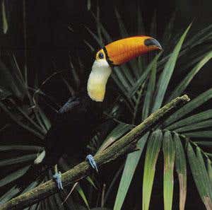 New Scientist. Science news and long reads from expert journalists, covering developments in science, technology, health and the environment on the website and the magazine.