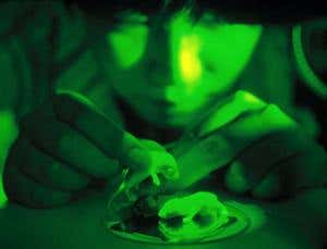 New Scientist. Science news and long reads from expert journalists, covering developments in science, technology, health and the environment on the website and the magazine.