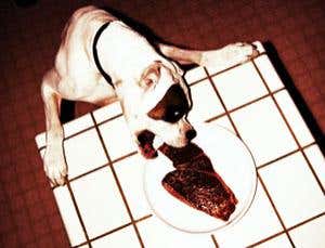 New Scientist. Science news and long reads from expert journalists, covering developments in science, technology, health and the environment on the website and the magazine.