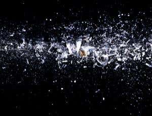 New Scientist. Science news and long reads from expert journalists, covering developments in science, technology, health and the environment on the website and the magazine.