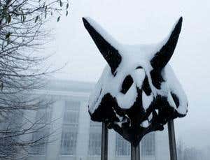 New Scientist. Science news and long reads from expert journalists, covering developments in science, technology, health and the environment on the website and the magazine.