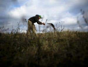New Scientist. Science news and long reads from expert journalists, covering developments in science, technology, health and the environment on the website and the magazine.