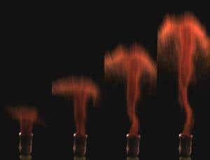 Exploding moss and swinging robots