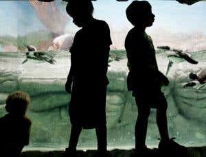 New Scientist. Science news and long reads from expert journalists, covering developments in science, technology, health and the environment on the website and the magazine.