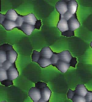 New Scientist. Science news and long reads from expert journalists, covering developments in science, technology, health and the environment on the website and the magazine.