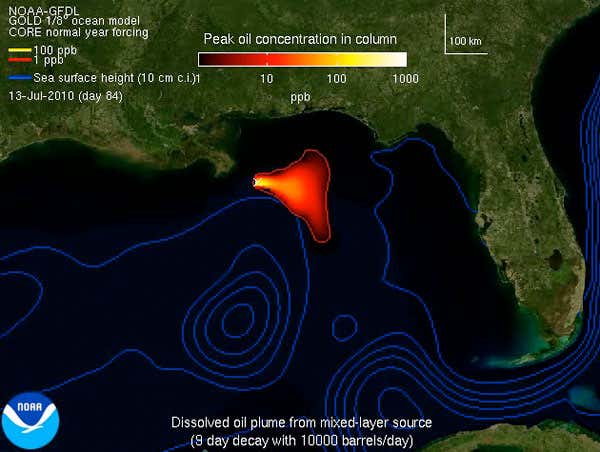Simulated concentration of dissolved oil near the sea surface on 13 July 