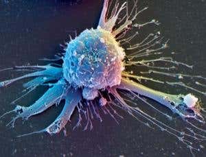 New Scientist. Science news and long reads from expert journalists, covering developments in science, technology, health and the environment on the website and the magazine.