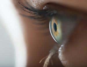 Collagen corneas restore damaged sight