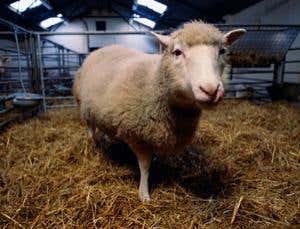 New Scientist. Science news and long reads from expert journalists, covering developments in science, technology, health and the environment on the website and the magazine.