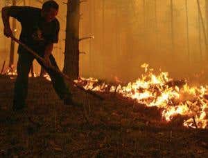 New Scientist. Science news and long reads from expert journalists, covering developments in science, technology, health and the environment on the website and the magazine.