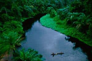 New Scientist. Science news and long reads from expert journalists, covering developments in science, technology, health and the environment on the website and the magazine.