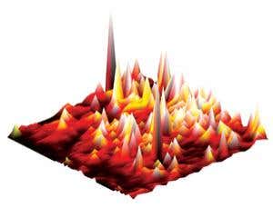 New Scientist. Science news and long reads from expert journalists, covering developments in science, technology, health and the environment on the website and the magazine.