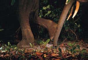 New Scientist. Science news and long reads from expert journalists, covering developments in science, technology, health and the environment on the website and the magazine.