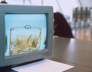 New Scientist. Science news and long reads from expert journalists, covering developments in science, technology, health and the environment on the website and the magazine.