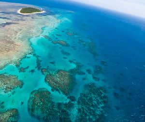 New Scientist. Science news and long reads from expert journalists, covering developments in science, technology, health and the environment on the website and the magazine.