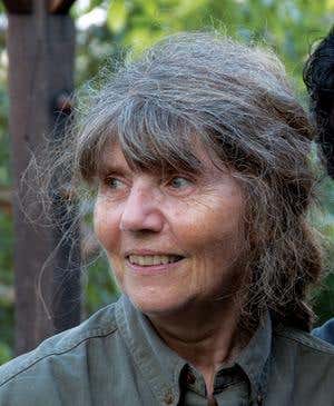 Orang-utan psychologist: Watching the ape pantomime