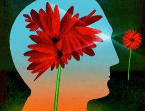 The mind's eye: How the brain sorts out what you see