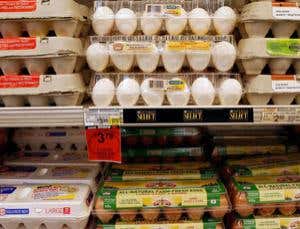 New Scientist. Science news and long reads from expert journalists, covering developments in science, technology, health and the environment on the website and the magazine.