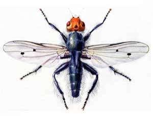 New Scientist. Science news and long reads from expert journalists, covering developments in science, technology, health and the environment on the website and the magazine.