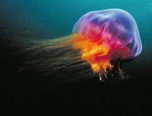 New Scientist. Science news and long reads from expert journalists, covering developments in science, technology, health and the environment on the website and the magazine.