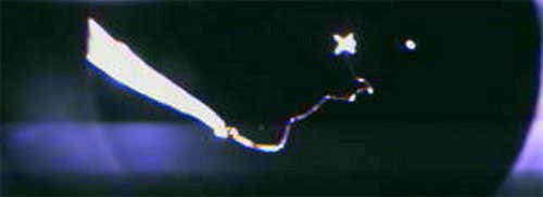 New Scientist. Science news and long reads from expert journalists, covering developments in science, technology, health and the environment on the website and the magazine.