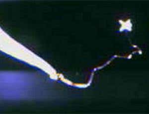 Space ribbon deployed to surf Earth's magnetic field