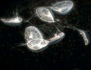 New Scientist. Science news and long reads from expert journalists, covering developments in science, technology, health and the environment on the website and the magazine.