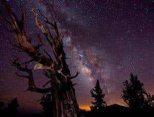 The star photographers who captured the night sky