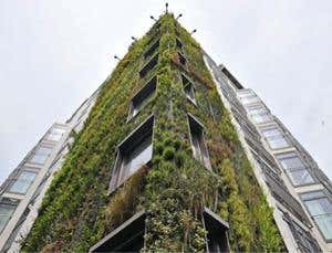 New Scientist. Science news and long reads from expert journalists, covering developments in science, technology, health and the environment on the website and the magazine.