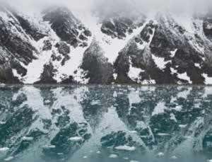 Arctic bugs may have the longest life-cycle on Earth