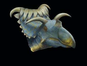 Meet Kosmoceratops, the horniest vegetarian dinosaur