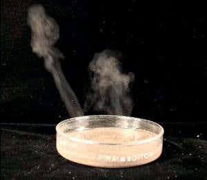 New Scientist. Science news and long reads from expert journalists, covering developments in science, technology, health and the environment on the website and the magazine.