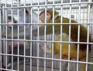 New Scientist. Science news and long reads from expert journalists, covering developments in science, technology, health and the environment on the website and the magazine.