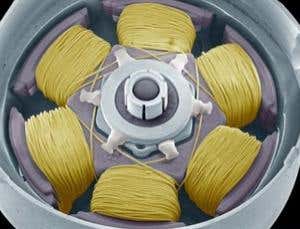 New Scientist. Science news and long reads from expert journalists, covering developments in science, technology, health and the environment on the website and the magazine.