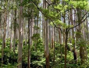 New Scientist. Science news and long reads from expert journalists, covering developments in science, technology, health and the environment on the website and the magazine.