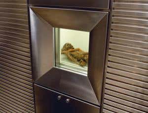 Do Egyptian mummies have a right to privacy?