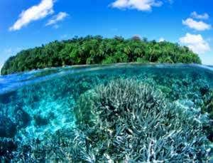 Think or swim: Can we hold back the oceans?