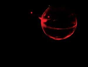 Light trapped on curved surfaces