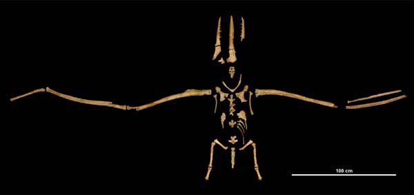New Scientist. Science news and long reads from expert journalists, covering developments in science, technology, health and the environment on the website and the magazine.