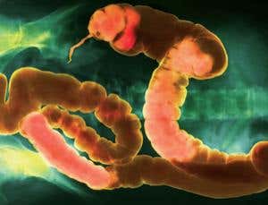 New Scientist. Science news and long reads from expert journalists, covering developments in science, technology, health and the environment on the website and the magazine.