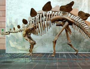 New Scientist. Science news and long reads from expert journalists, covering developments in science, technology, health and the environment on the website and the magazine.