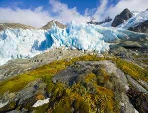 Cosmic accidents: The age of heroic lichen
