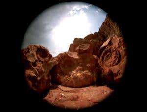 Fossil secrets of the Leonardo da Vinci codex