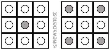 New Scientist. Science news and long reads from expert journalists, covering developments in science, technology, health and the environment on the website and the magazine.