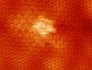 New Scientist. Science news and long reads from expert journalists, covering developments in science, technology, health and the environment on the website and the magazine.