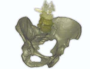 New Scientist. Science news and long reads from expert journalists, covering developments in science, technology, health and the environment on the website and the magazine.