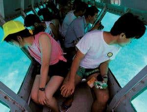 New Scientist. Science news and long reads from expert journalists, covering developments in science, technology, health and the environment on the website and the magazine.