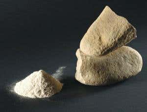 New Scientist. Science news and long reads from expert journalists, covering developments in science, technology, health and the environment on the website and the magazine.