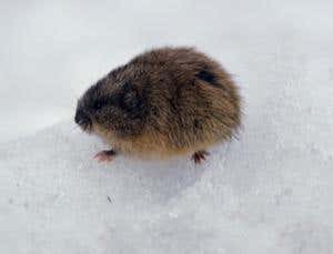 New Scientist. Science news and long reads from expert journalists, covering developments in science, technology, health and the environment on the website and the magazine.